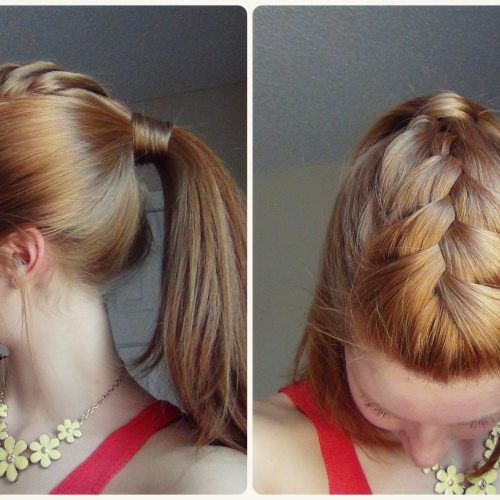 French Braid Hairstyles With Ponytail (Photo 1 of 20)