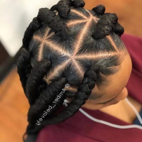 Triangle Box Braids Hairstyles (Photo 11 of 15)