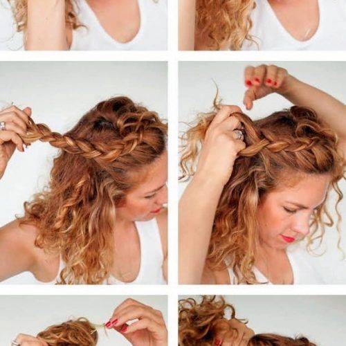 Braided Hairstyles For Curly Hair (Photo 9 of 15)