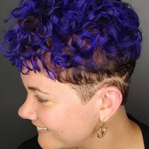 Curly Pixie Hairstyles With Segmented Undercut (Photo 7 of 20)