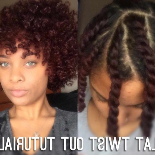 Updo Twist Out Hairstyles (Photo 15 of 15)