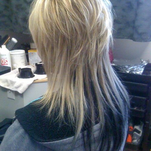 Platinum Tresses Blonde Hairstyles With Shaggy Cut (Photo 10 of 20)