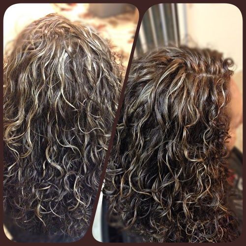 Black Wet Curly Bob Hairstyles With Subtle Highlights (Photo 15 of 20)