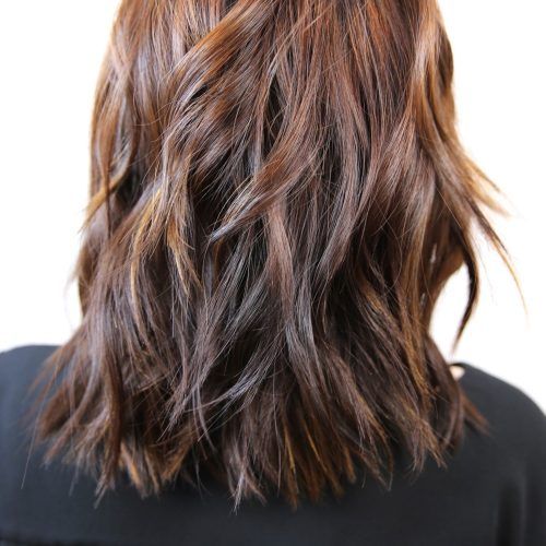 Chestnut Short Hairstyles With Subtle Highlights (Photo 17 of 20)