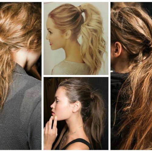 Wrapped-Up Ponytail Hairstyles (Photo 8 of 20)