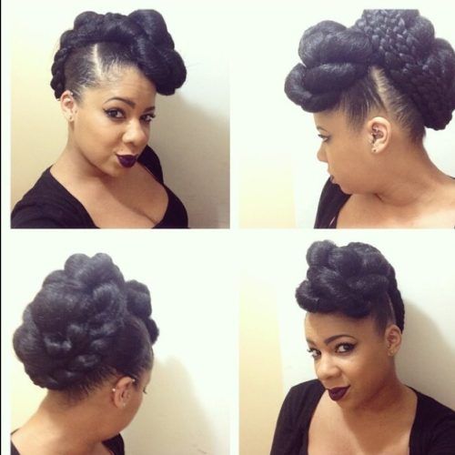 Natural Updo Hairstyles With Braids (Photo 15 of 15)