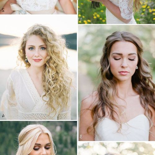 Tender Bridal Hairstyles With A Veil (Photo 13 of 20)
