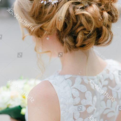 Tender Bridal Hairstyles With A Veil (Photo 17 of 20)
