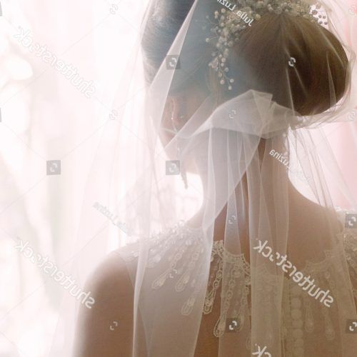 Tender Bridal Hairstyles With A Veil (Photo 19 of 20)