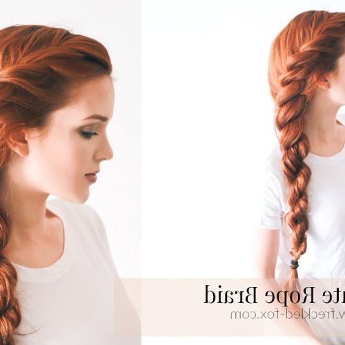 Easy French Rope Braid Hairstyles (Photo 5 of 20)