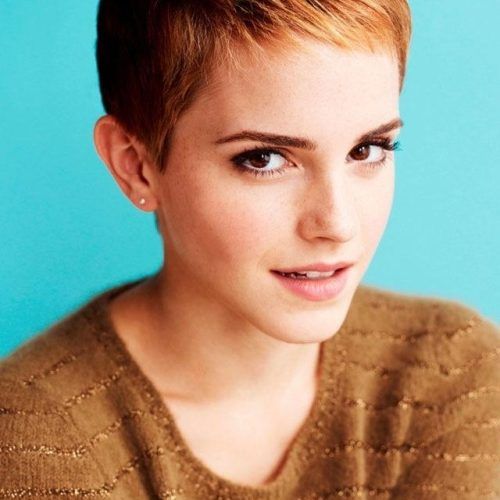 Short Hairstyles For Large Noses (Photo 13 of 20)