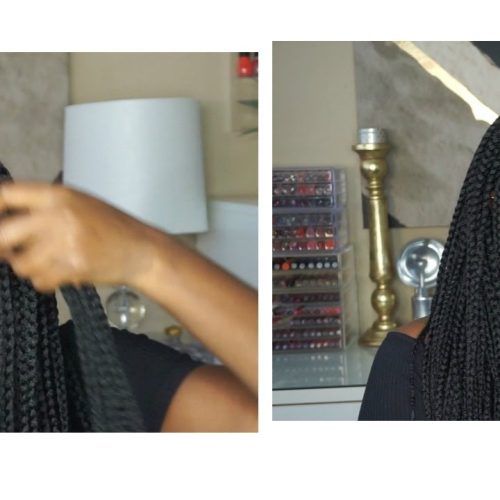 Wigs Braided Hairstyles (Photo 2 of 15)