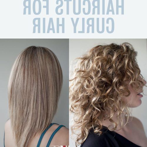 V-Cut Layers Hairstyles For Straight Thick Hair (Photo 18 of 20)