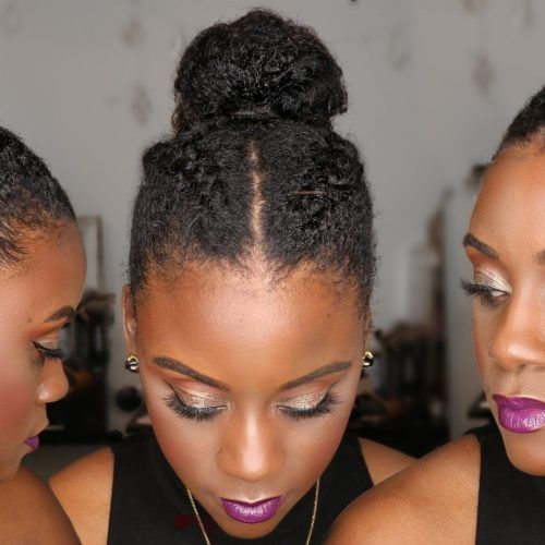 Natural Updo Hairstyles With Braids (Photo 12 of 15)