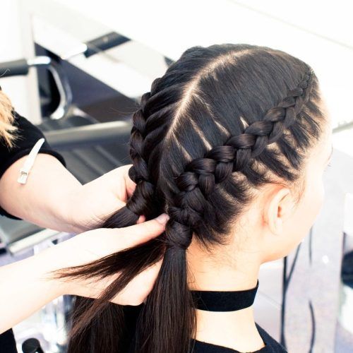 Two Braids In One Hairstyles (Photo 13 of 20)