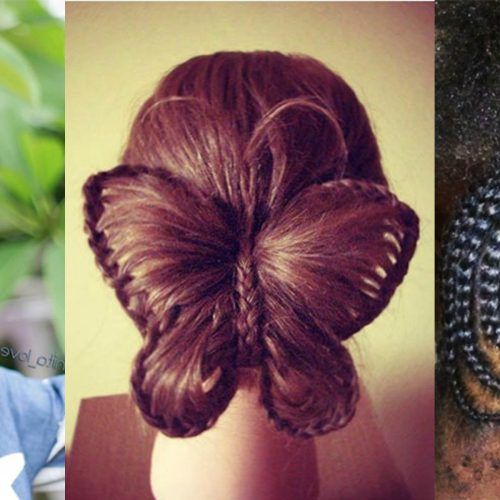 Braided Bun Hairstyles With Puffy Crown (Photo 14 of 20)