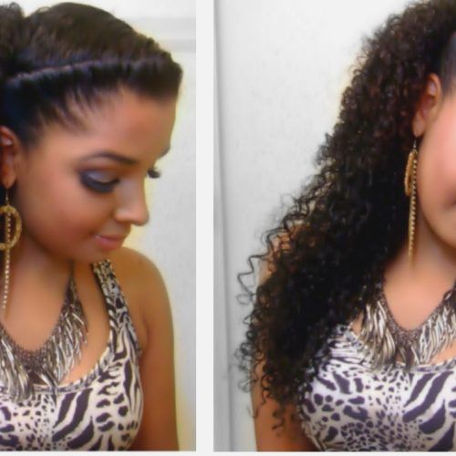 Naturally Curly Hairstyles (Photo 20 of 20)