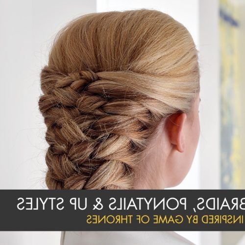 Wrapped Ponytail With In-Front-Of-The-Ear Braids (Photo 11 of 15)