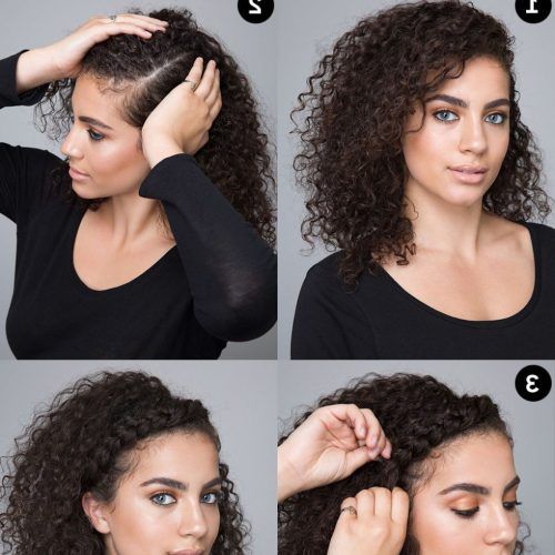 Braided Headband Hairstyles For Curly Hair (Photo 15 of 20)