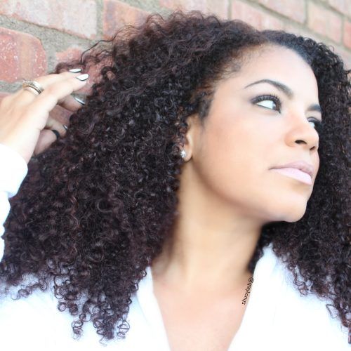 Curly Hairstyles With Shine (Photo 15 of 20)