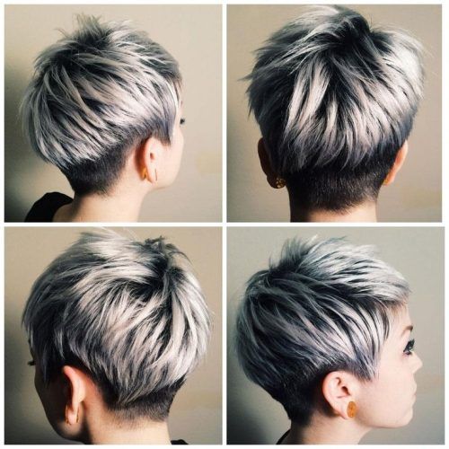 Silver And Brown Pixie Haircuts (Photo 2 of 15)