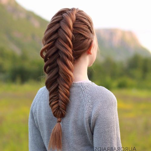 Thick Two Side Fishtails Braid Hairstyles (Photo 9 of 20)
