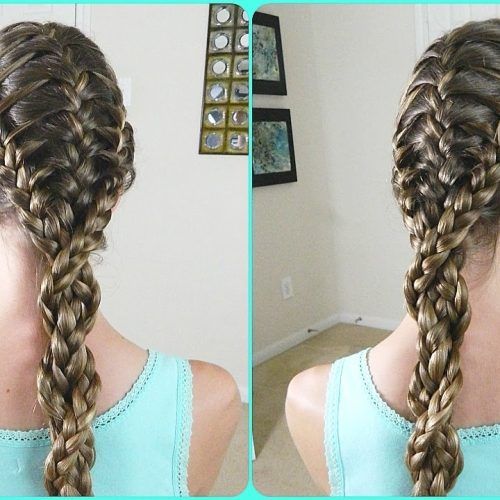 Triple The Braids Hairstyles (Photo 1 of 15)