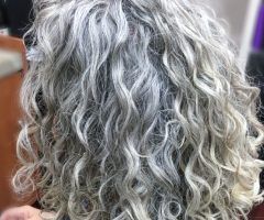20 Photos Curly Grayhairstyles