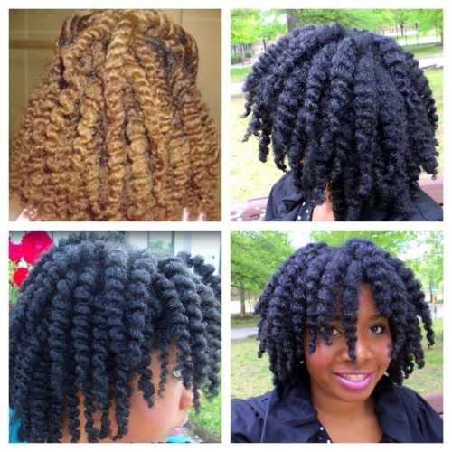 Updo Twist Out Hairstyles (Photo 14 of 15)