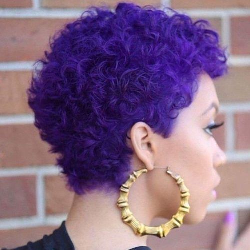 Purple And Black Short Hairstyles (Photo 11 of 20)