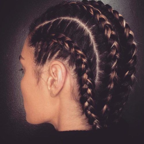 Braided Mohawk Pony Hairstyles With Tight Cornrows (Photo 15 of 20)