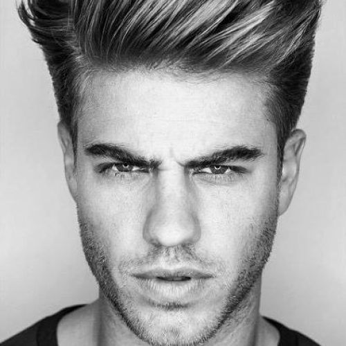 Hairstyles Quiff Long Hair (Photo 10 of 15)
