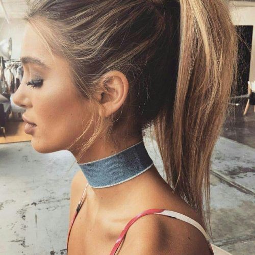 Long Hairstyles In A Ponytail (Photo 1 of 15)