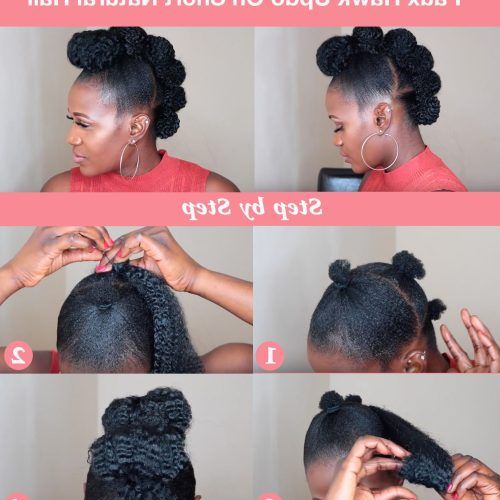Quick Updo Hairstyles For Natural Black Hair (Photo 5 of 15)