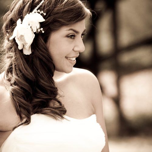 Wedding Hairstyles For Long Hair With Side Swept (Photo 10 of 15)