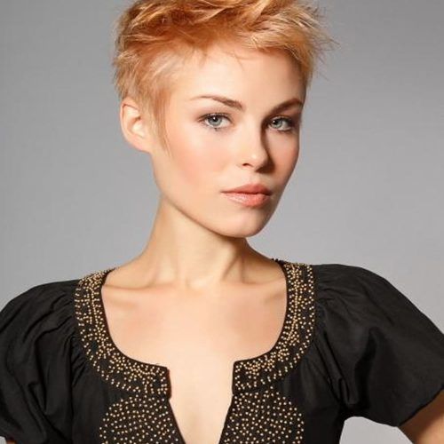 Pixie Cut Hairstyles (Photo 16 of 20)