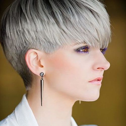 Gray Pixie Hairstyles For Thick Hair (Photo 8 of 20)