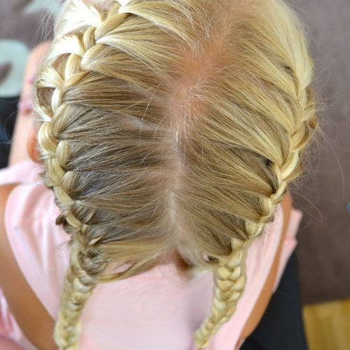 Asymmetrical French Braided Hairstyles (Photo 10 of 20)