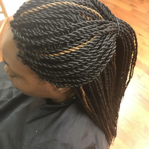 Black And Brown Senegalese Twist Hairstyles (Photo 3 of 20)