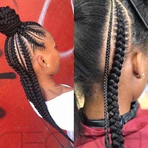 Braided Hairstyles For Afro Hair (Photo 6 of 15)