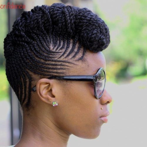 Braided Hairstyles For Natural Hair (Photo 13 of 15)