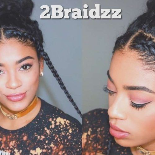 Braided Hairstyles For Naturally Curly Hair (Photo 13 of 15)