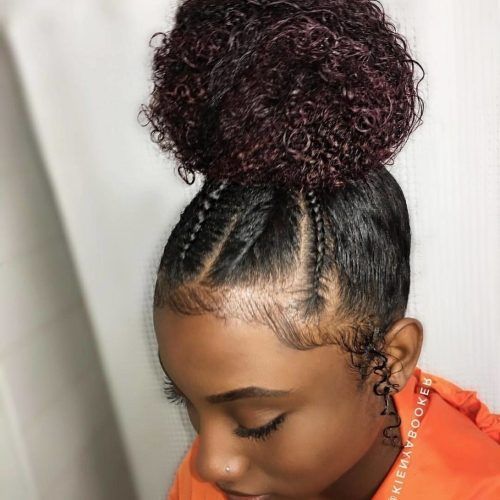 Braided Hairstyles On Natural Hair (Photo 7 of 15)