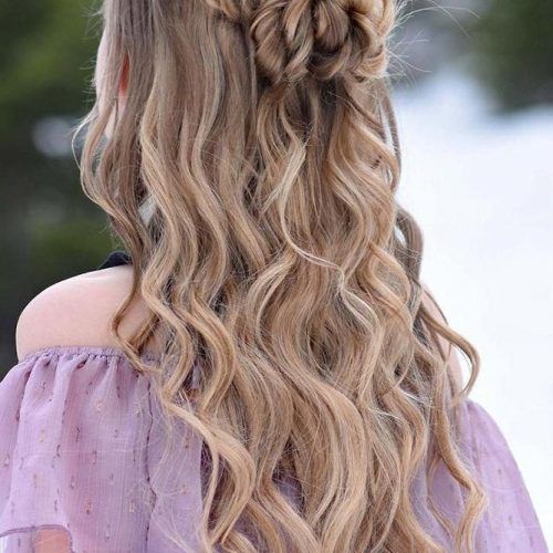 Braided Half-Up Hairstyles For A Cute Look (Photo 20 of 20)