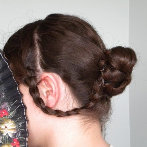 Braided Victorian Hairstyles (Photo 5 of 15)
