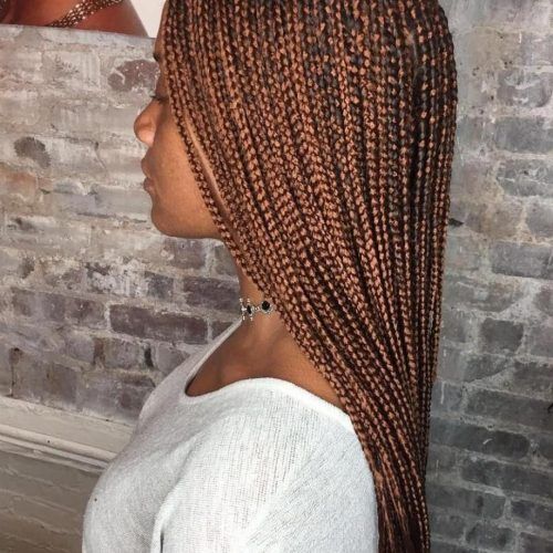 Micro Braids Hairstyles In Side Fishtail Braid (Photo 12 of 20)