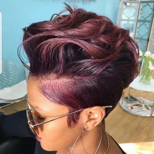 Plum Brown Pixie Haircuts For Naturally Curly Hair (Photo 5 of 20)