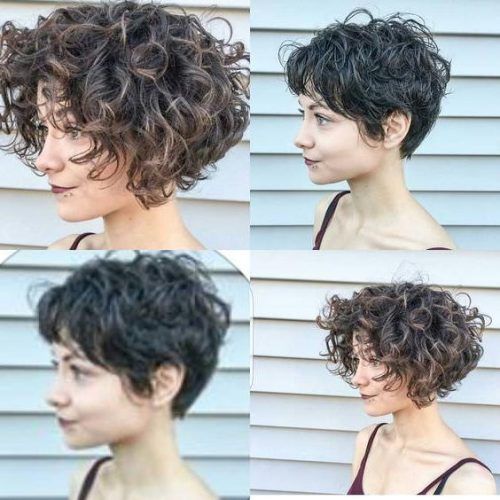 Short Pixie Haircuts For Curly Hair (Photo 18 of 20)