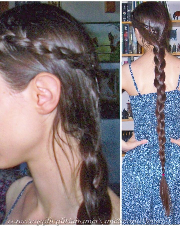 20 Inspirations Three Strand Side Braided Hairstyles