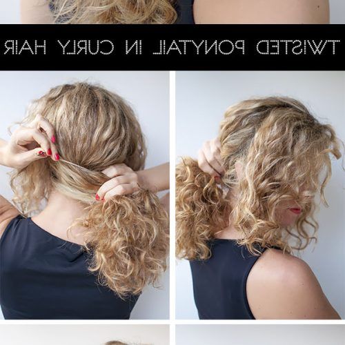 Twist-Into-Ponytail Hairstyles (Photo 16 of 20)